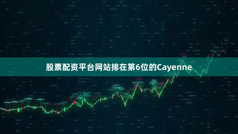 股票配资平台网站排在第6位的Cayenne