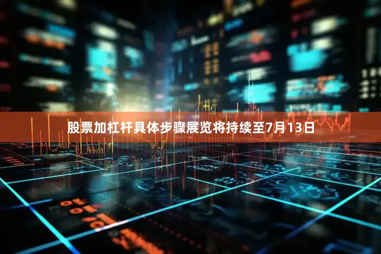 股票加杠杆具体步骤展览将持续至7月13日
